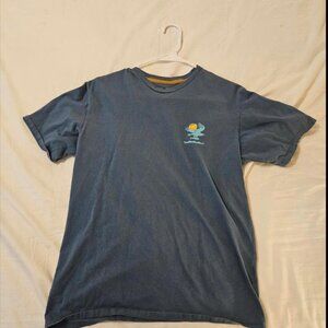 Mens Small Patagonia Blue Graphic Tee Shirt